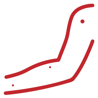 arm mole Icon